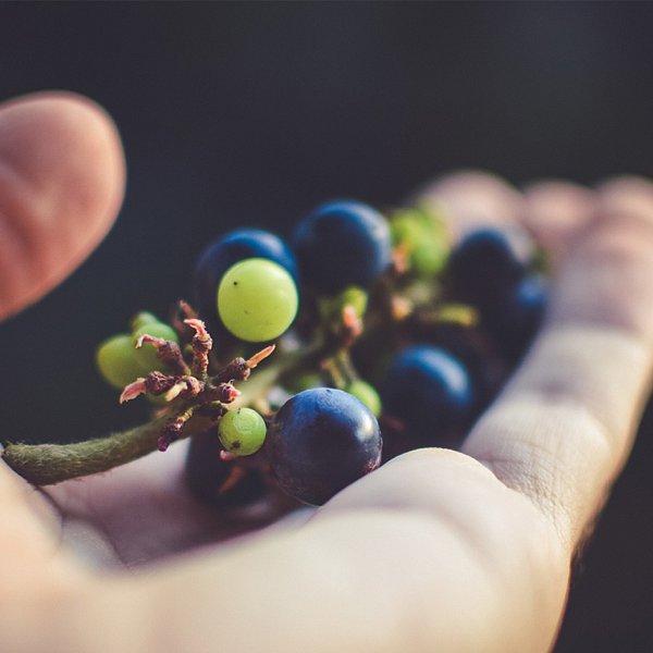 <h1>Crosspoint Church<br />
<strong>A light in our community</strong></h1>

<p>Jesus told us to bear fruit, fruit that would remain and a fruitful life brings health and prosperity. So come along and join with us this week and journey with us as we build lives and build the Kingdom of God together.</p>